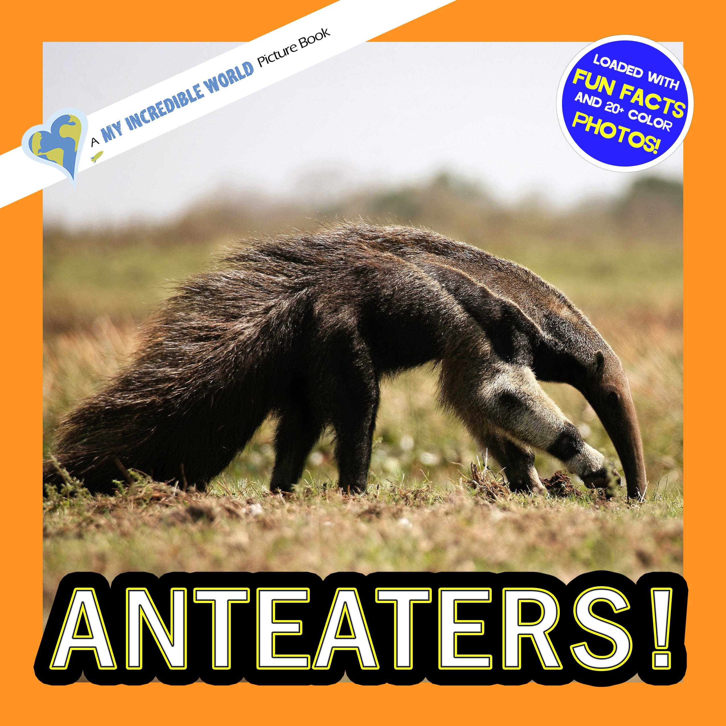 Anteaters! A My Incredible World Picture Book for Children